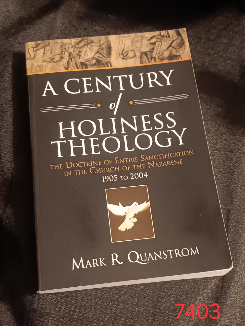 A Century of Holiness Theology by Mark R. Quanstrom